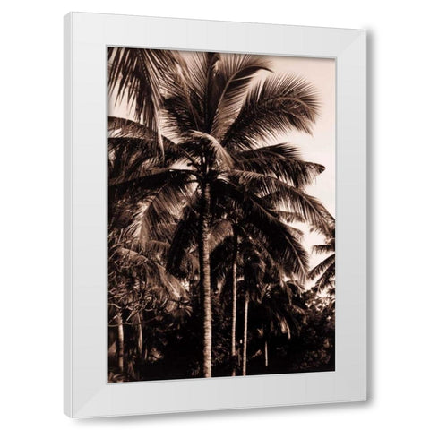 Coconut Palm, Bali White Modern Wood Framed Art Print by Blue, Cyril