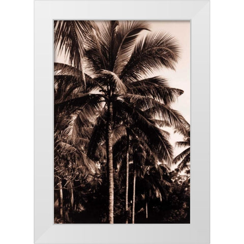 Coconut Palm, Bali White Modern Wood Framed Art Print by Blue, Cyril