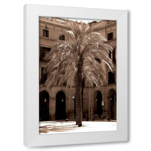 Canary Palm, Barcelona White Modern Wood Framed Art Print by Blue, Cyril