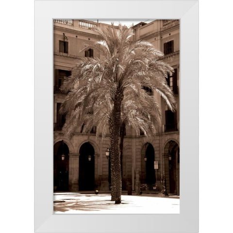 Canary Palm, Barcelona White Modern Wood Framed Art Print by Blue, Cyril
