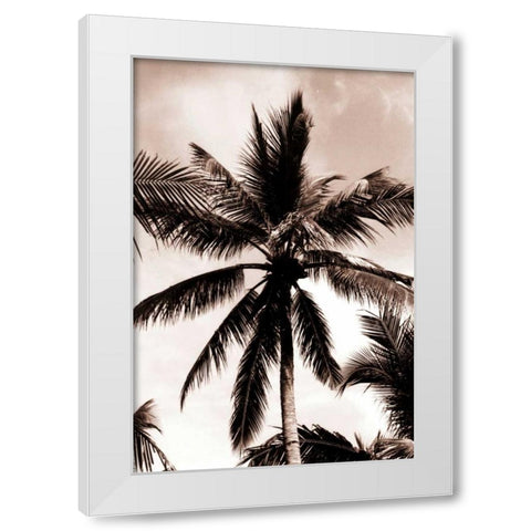 Coconut Palm, Bali White Modern Wood Framed Art Print by Blue, Cyril