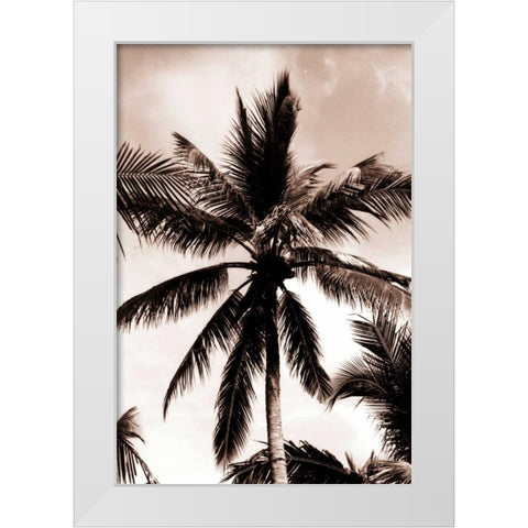 Coconut Palm, Bali White Modern Wood Framed Art Print by Blue, Cyril