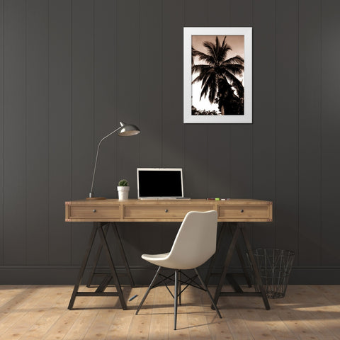Coconut Palm, Bali White Modern Wood Framed Art Print by Blue, Cyril