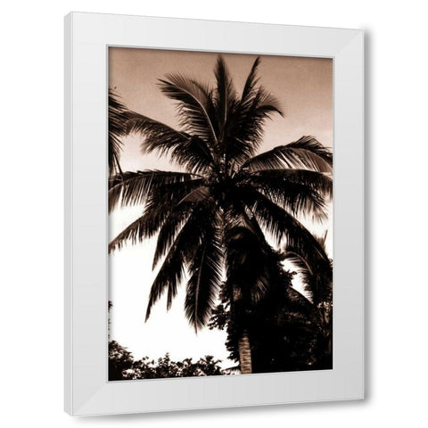 Coconut Palm, Bali White Modern Wood Framed Art Print by Blue, Cyril
