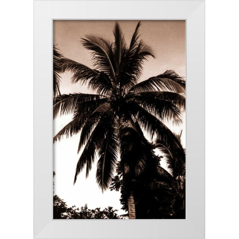 Coconut Palm, Bali White Modern Wood Framed Art Print by Blue, Cyril