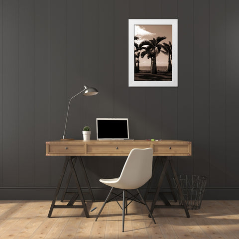 Date Palm, Mauritius White Modern Wood Framed Art Print by Blue, Cyril