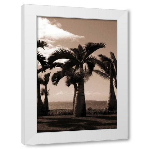 Date Palm, Mauritius White Modern Wood Framed Art Print by Blue, Cyril