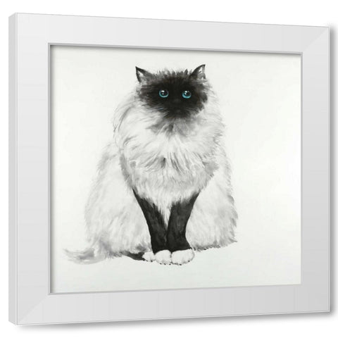 Blue Eyes Fluffy Siamese Cat White Modern Wood Framed Art Print by Atelier B Art Studio