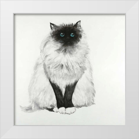 Blue Eyes Fluffy Siamese Cat White Modern Wood Framed Art Print by Atelier B Art Studio