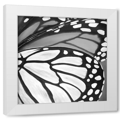 Black and White Monarch White Modern Wood Framed Art Print by Atelier B Art Studio