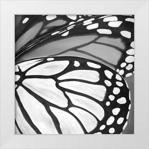 Black and White Monarch White Modern Wood Framed Art Print by Atelier B Art Studio