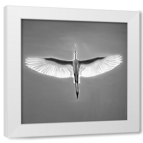 GREAT BLUE HERON IN FLIGHT White Modern Wood Framed Art Print by Atelier B Art Studio