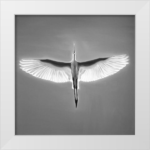 GREAT BLUE HERON IN FLIGHT White Modern Wood Framed Art Print by Atelier B Art Studio