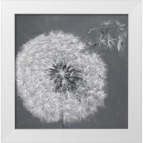 Blowing Dandelion White Modern Wood Framed Art Print by Atelier B Art Studio