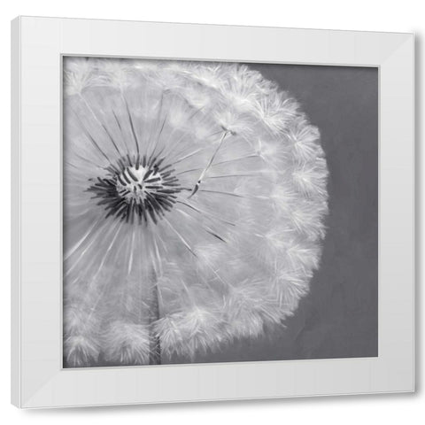 Dandelion Puff Ball White Modern Wood Framed Art Print by Atelier B Art Studio