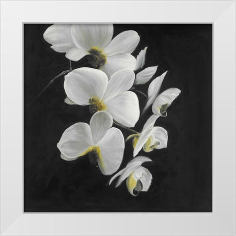 Beautiful Orchids White Modern Wood Framed Art Print by Atelier B Art Studio