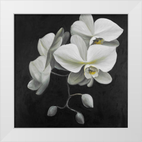 White Orchids White Modern Wood Framed Art Print by Atelier B Art Studio