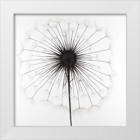 Dandelion White Modern Wood Framed Art Print by Atelier B Art Studio