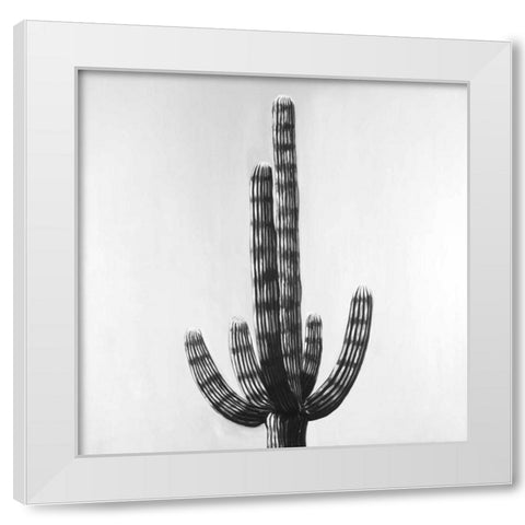 Cactus White Modern Wood Framed Art Print by Atelier B Art Studio