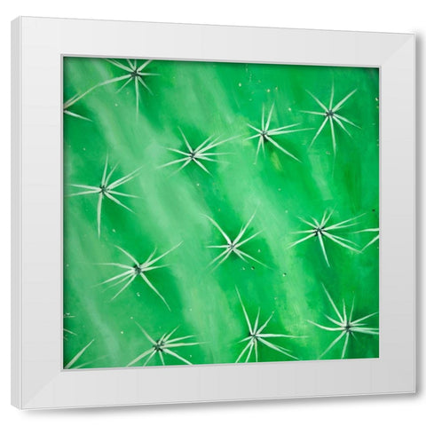 CACTUS CLOSEUP White Modern Wood Framed Art Print by Atelier B Art Studio