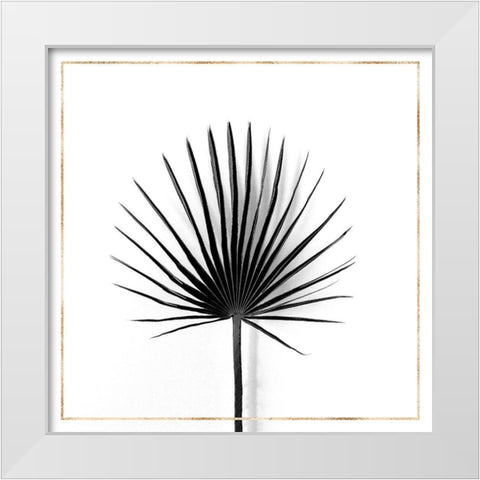 CABBAGE PALM LEAF WITH GOLD LINES White Modern Wood Framed Art Print by Atelier B Art Studio