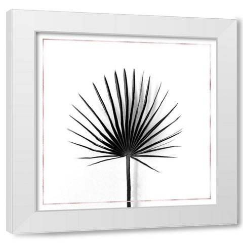 CABBAGE PALM LEAF WITH ROSE LINES White Modern Wood Framed Art Print by Atelier B Art Studio