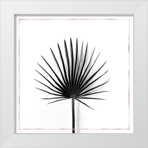 CABBAGE PALM LEAF WITH ROSE LINES White Modern Wood Framed Art Print by Atelier B Art Studio