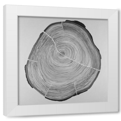 Grayscale Oval Shaped Tree Slab White Modern Wood Framed Art Print by Atelier B Art Studio