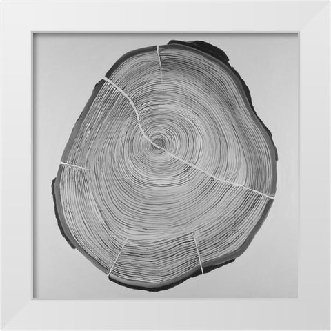 Grayscale Oval Shaped Tree Slab White Modern Wood Framed Art Print by Atelier B Art Studio
