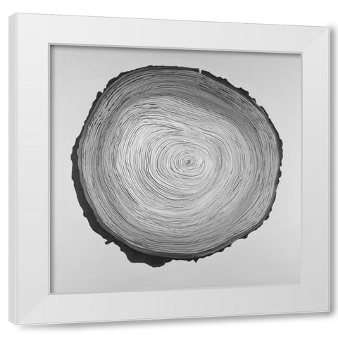 Grayscale Round Shaped Tree Slab White Modern Wood Framed Art Print by Atelier B Art Studio