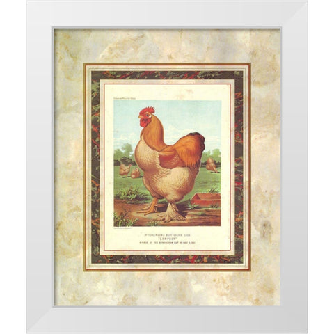 Buff. Cochin Cock, Cassells Poultry Book White Modern Wood Framed Art Print by Ludlow, J.W.