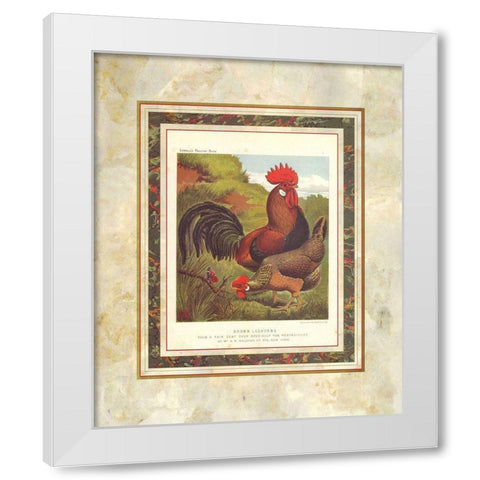 Brown Leg Horn, Cassells Poultry Book White Modern Wood Framed Art Print by Ludlow, J.W.