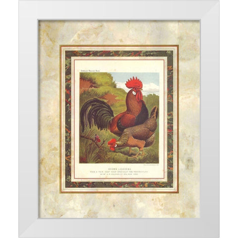 Brown Leg Horn, Cassells Poultry Book White Modern Wood Framed Art Print by Ludlow, J.W.