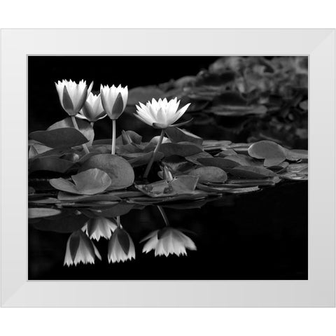 Reflections on Water White Modern Wood Framed Art Print by Frates, Dennis