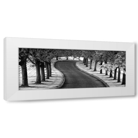 Maple Tree Lined Drive White Modern Wood Framed Art Print by Frates, Dennis