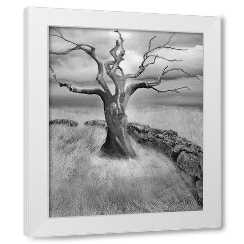 The Meadow White Modern Wood Framed Art Print by Fisch, Ellen