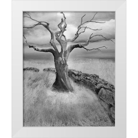 The Meadow White Modern Wood Framed Art Print by Fisch, Ellen