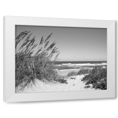 Dune Path White Modern Wood Framed Art Print by Turek, Eve