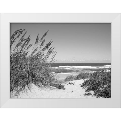 Dune Path White Modern Wood Framed Art Print by Turek, Eve