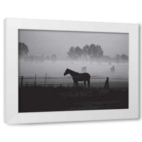 Grazing in the Mist White Modern Wood Framed Art Print by Anonymous