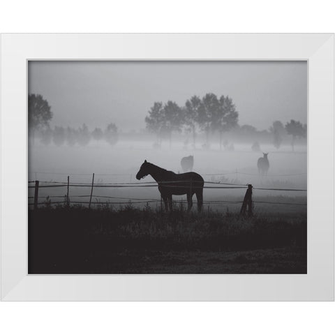 Grazing in the Mist White Modern Wood Framed Art Print by Anonymous