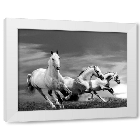 White Stallions White Modern Wood Framed Art Print by Anonymous