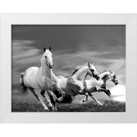 White Stallions White Modern Wood Framed Art Print by Anonymous
