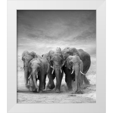 Elephant Herd White Modern Wood Framed Art Print by Byrdyak, V.