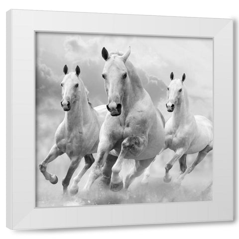 Three White Stallions White Modern Wood Framed Art Print by Itina, Maria