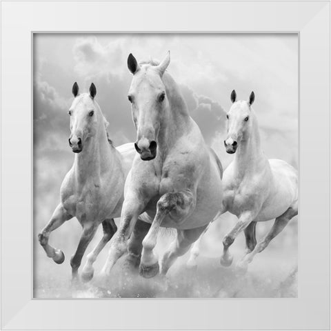 Three White Stallions White Modern Wood Framed Art Print by Itina, Maria