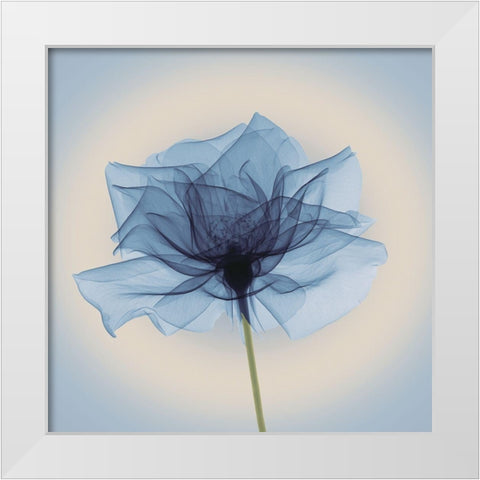 Layered Veil, Blue White Modern Wood Framed Art Print by Anonymous