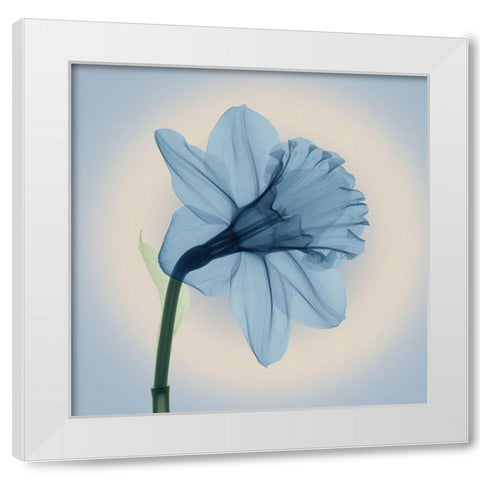 Veiled Blossom, Blue White Modern Wood Framed Art Print by Anonymous