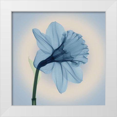 Veiled Blossom, Blue White Modern Wood Framed Art Print by Anonymous