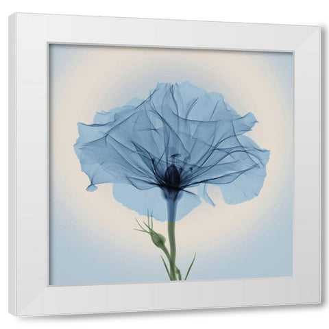 Bud in Bloom, Blue White Modern Wood Framed Art Print by Anonymous